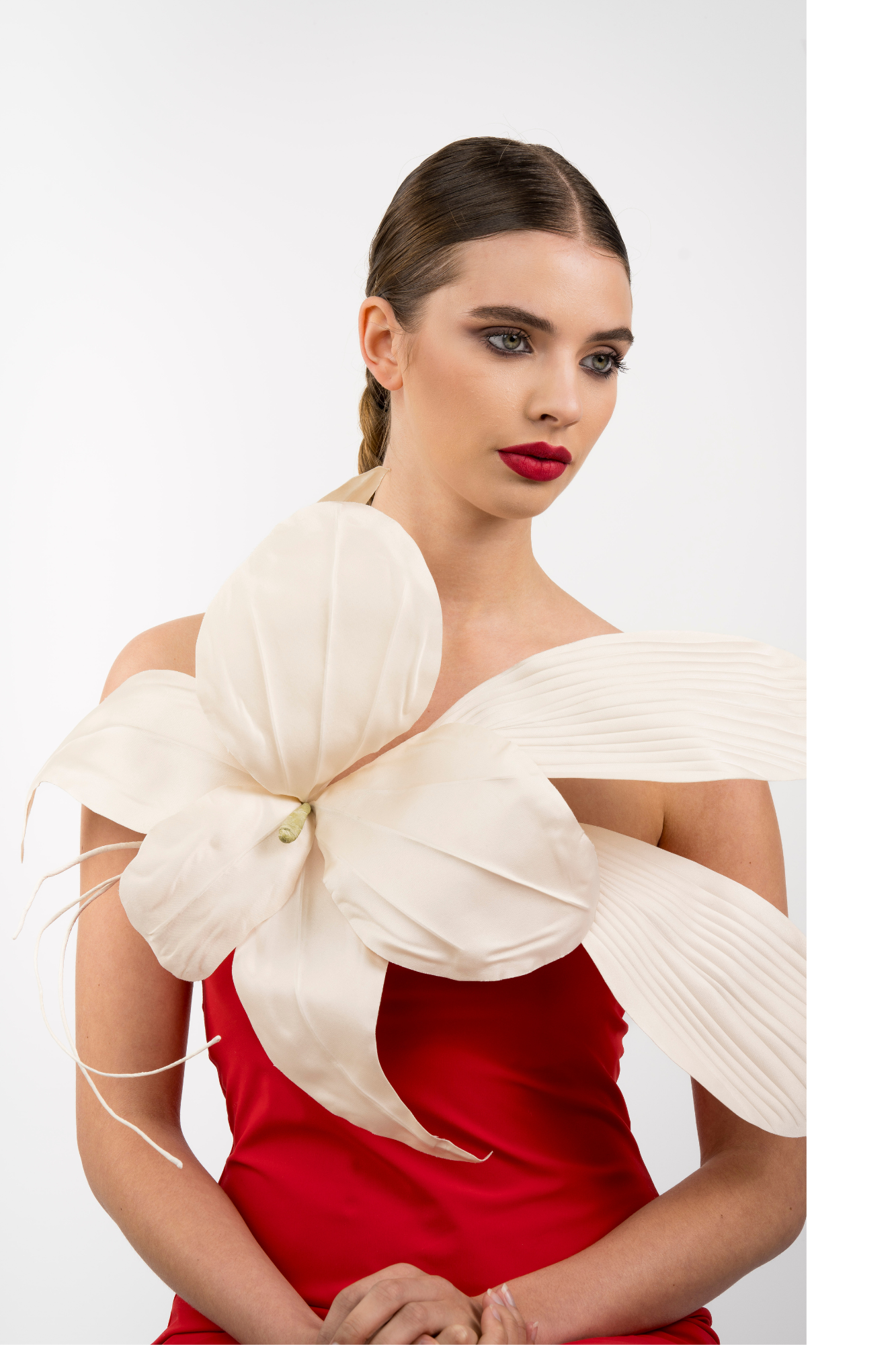 01 Orchidée Géante