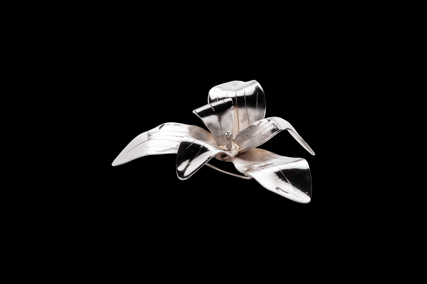 BIA14 Orchid 1