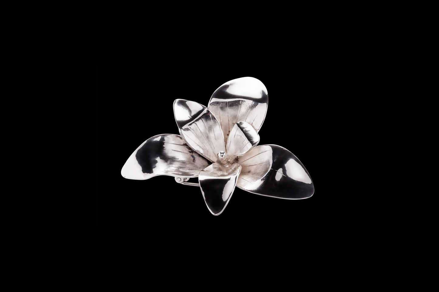 BIA15 Orchid 2