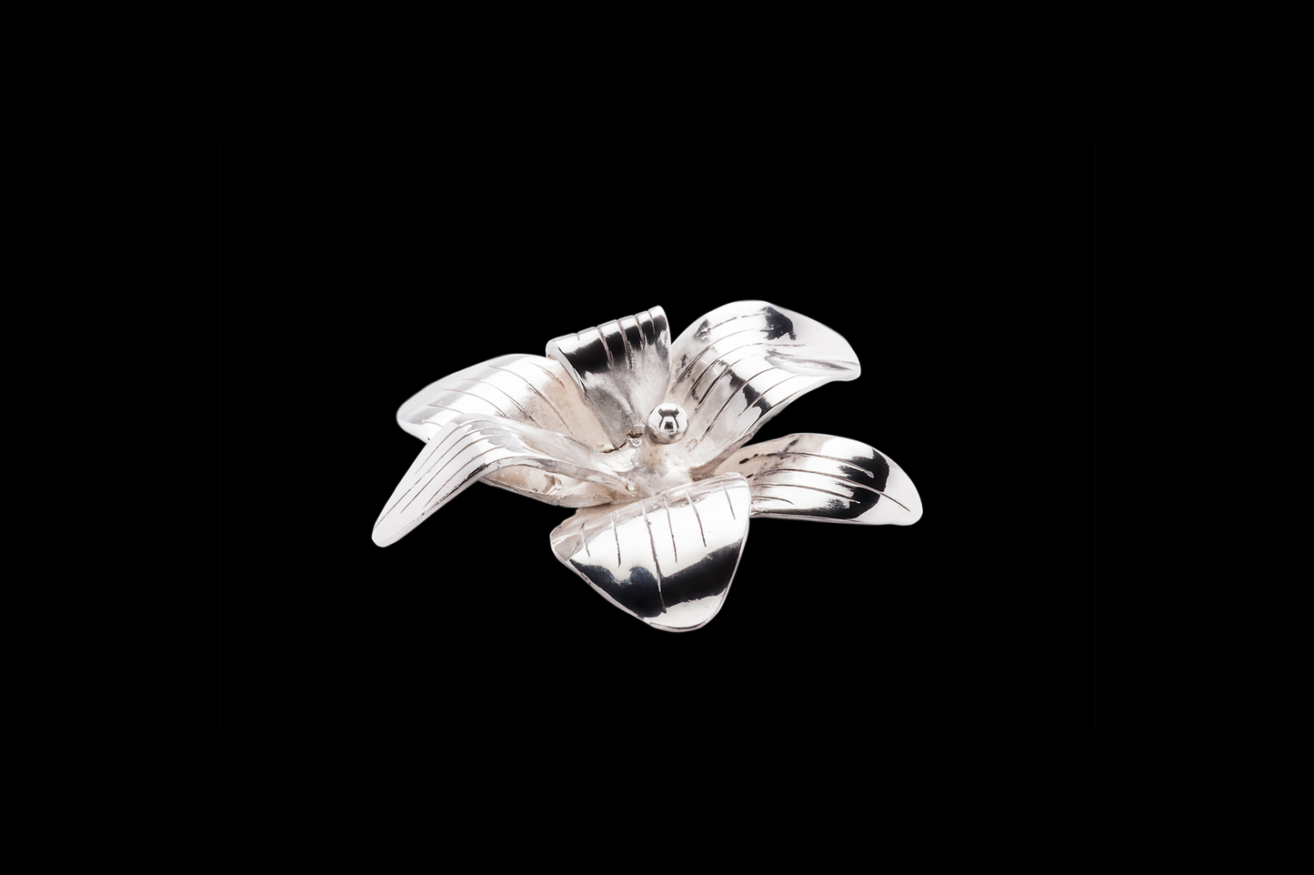 BIA16 Orchid 3
