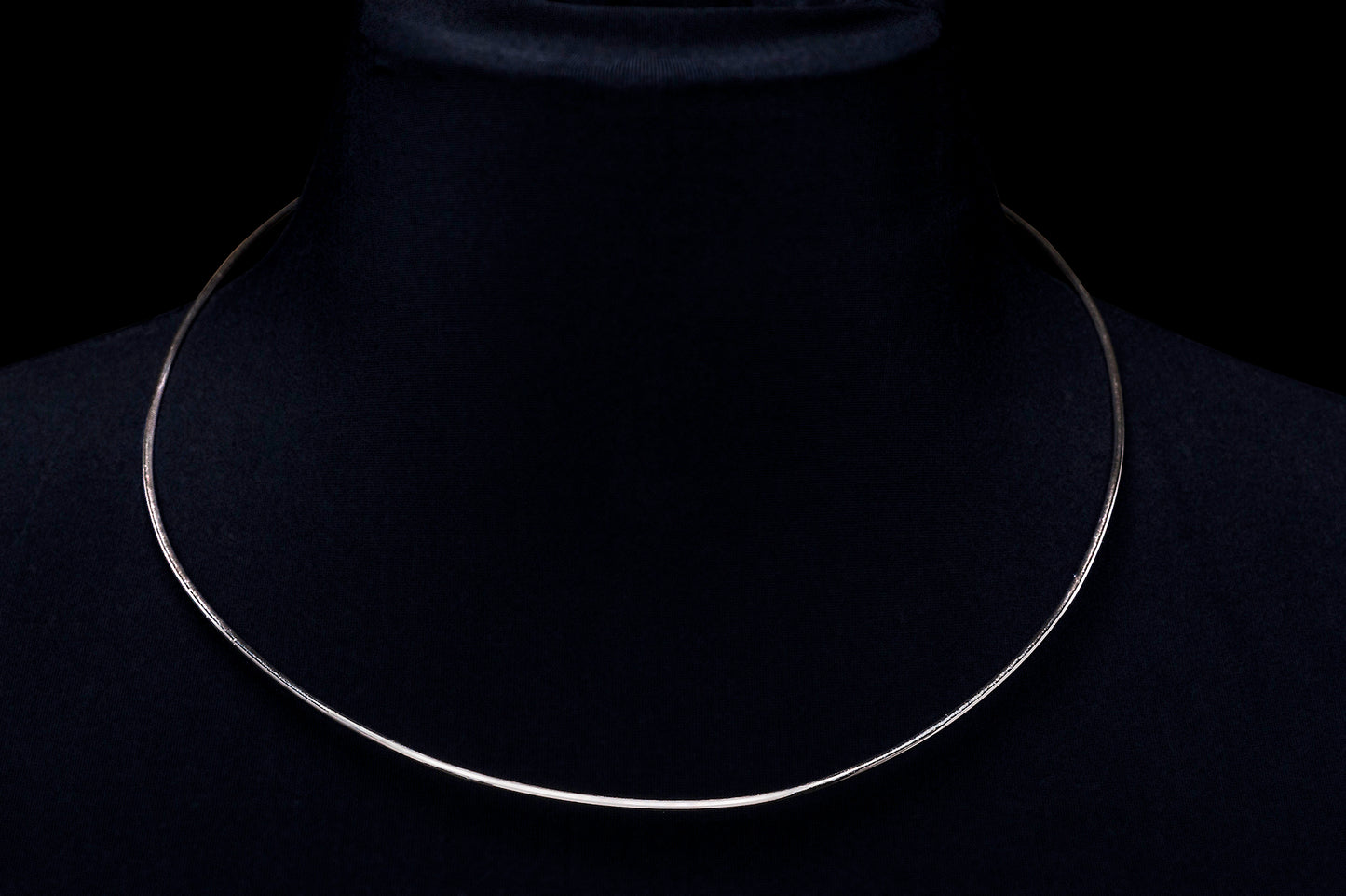 BIA8 Choker Necklace